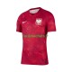 Maillot Pologne 2026 2027 Extérieur Homme MC