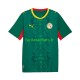 Maillot Sénégal 2026 2027 Extérieur Homme MC