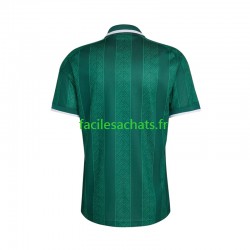 Maillot Afrique Du Sud Extérieur Coupe du Monde 2026 Homme MC