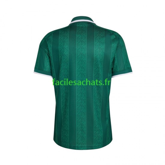 Maillot Afrique Du Sud Extérieur Coupe du Monde 2026 Homme MC