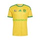 Maillot Afrique Du Sud Domicile Coupe du Monde 2026 Homme MC