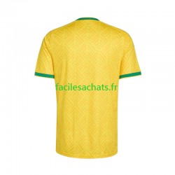 Maillot Afrique Du Sud Domicile Coupe du Monde 2026 Homme MC
