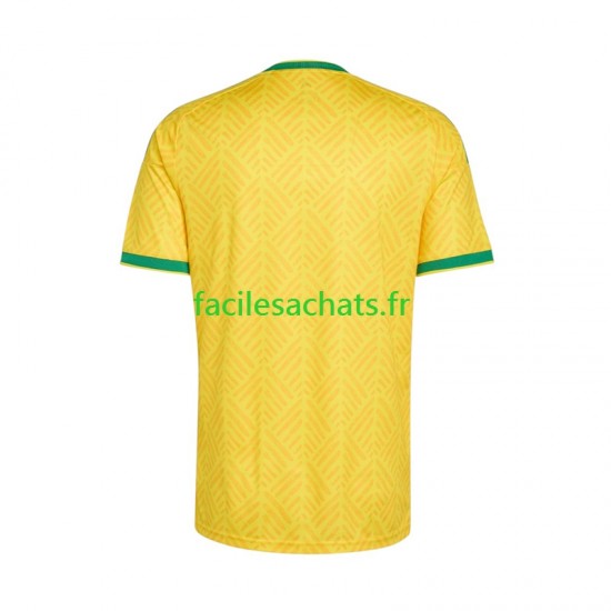 Maillot Afrique Du Sud Domicile Coupe du Monde 2026 Homme MC
