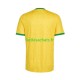 Maillot Afrique Du Sud Domicile Coupe du Monde 2026 Homme MC