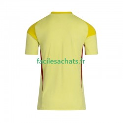 Maillot Celtic FC 2025-2026 Gardien Domicile Homme MC