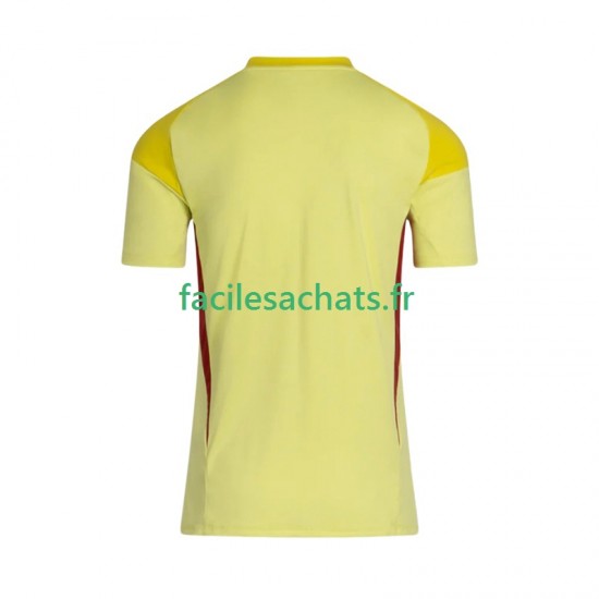 Maillot Celtic FC 2025-2026 Gardien Domicile Homme MC