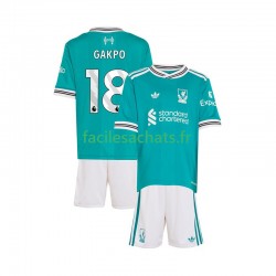 Maillot Liverpool Gakpo 18 2025-2026 3ème Enfant MC