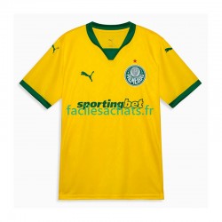 Maillot Palmeiras 2025-2026 3ème Homme MC