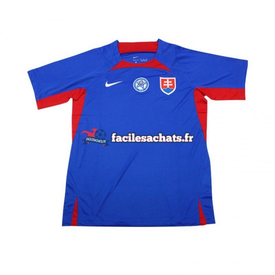 Maillot Slovaquie Euro 2024 Domicile Homme MC