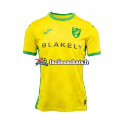 Maillot Norwich City 2024-2025 Domicile Homme MC